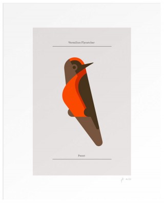 Josh Brill lumadessa bird 2 Josh Brill lumadessa bird 2